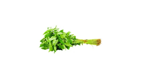 kalkerbazar.com